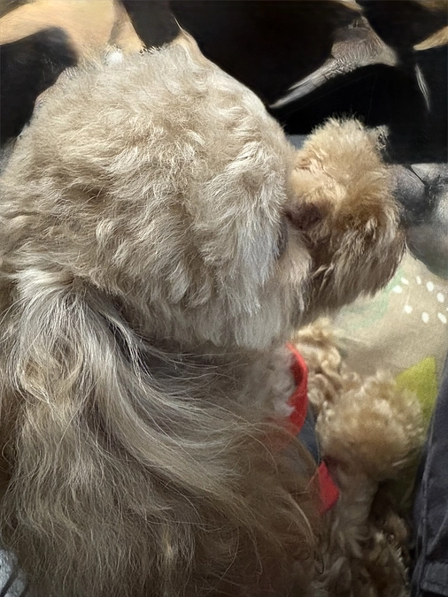 １１月１６日のゆむ君