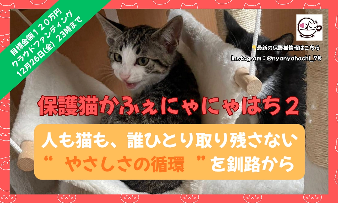 クラウドファンディング公開のお知らせ