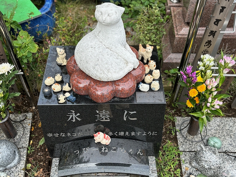 猫のお墓を作った理由