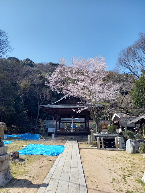 本殿修復の様子②