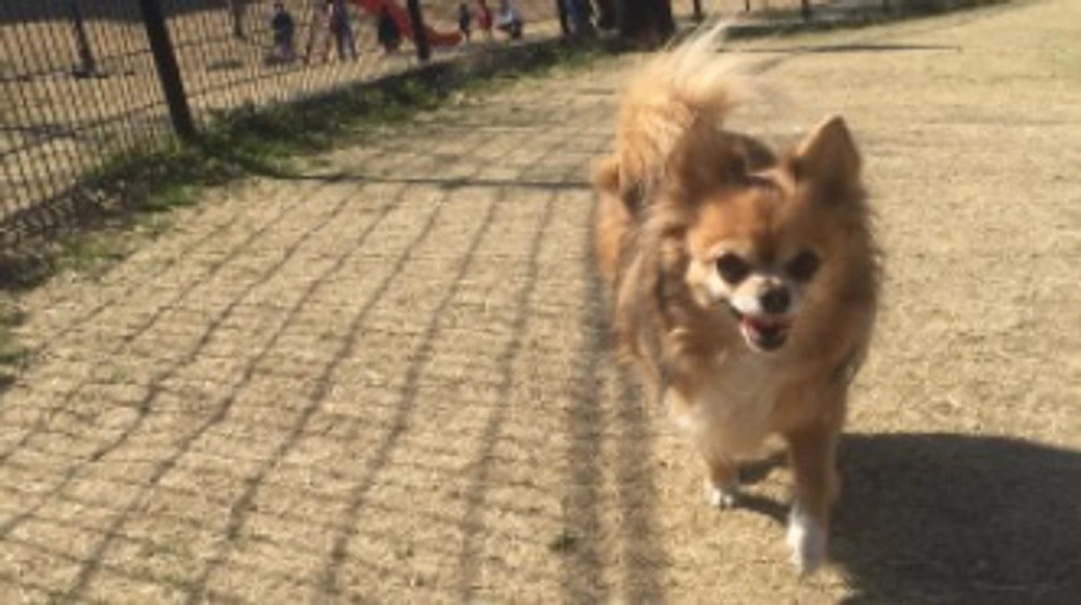 達成率58%⭐️心より感謝申し上げます【活動報告31日目】