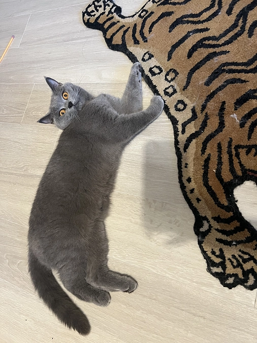 はじめまして！