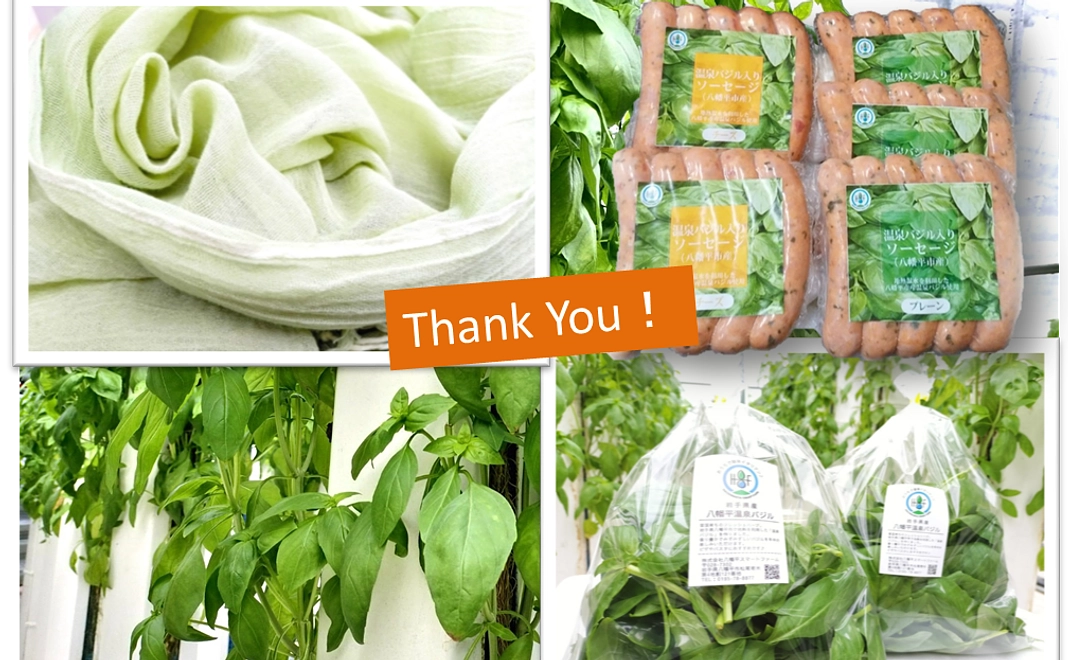 【八幡平スマートファーム産】温泉バジルセット～堪能～コース