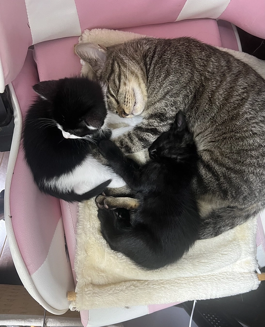 残り5日になりました