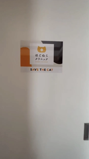 飛騨の保護猫たちに、医療の拠点ができました──新たなスタートをご支援ありがとうございます