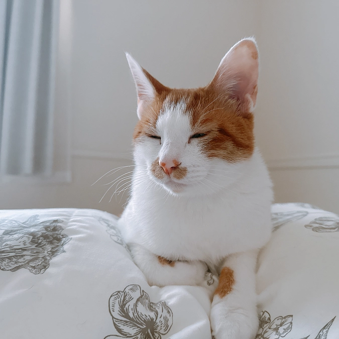 【告知です！】