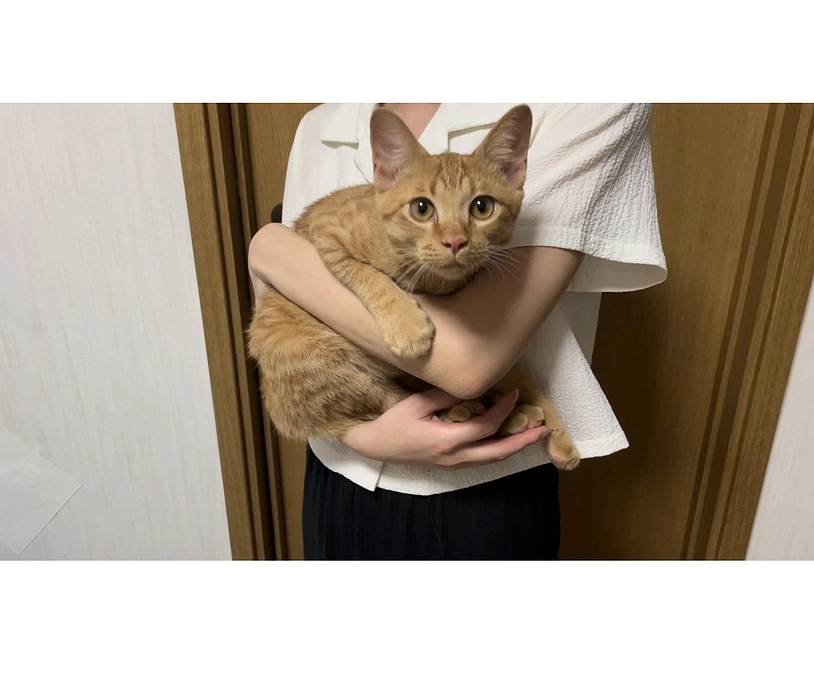 目標金額達成しました！