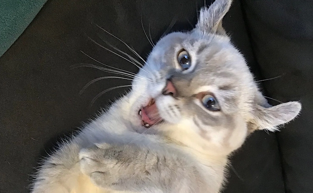 感謝のメールと画像１枚