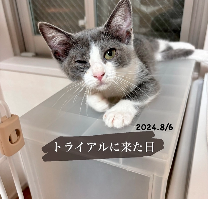 トライアル当初から体調がよくなかった頃のお話