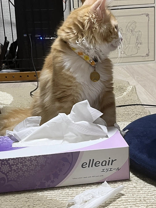 投薬21日目の様子　ご支援ありがとうございます。