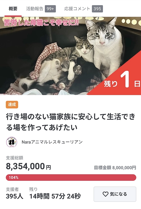 あと14時間となりました🙏