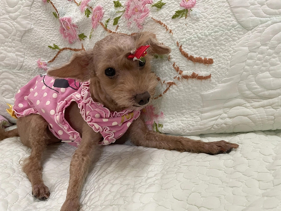 術後検査のご報告