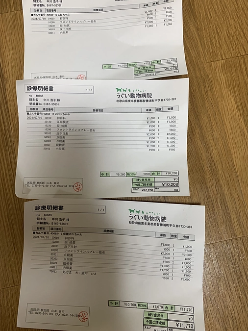 保護した白黒ちゃん