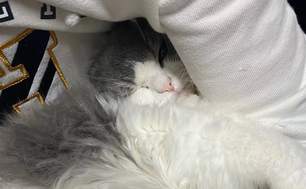 お薬一粒分のご支援