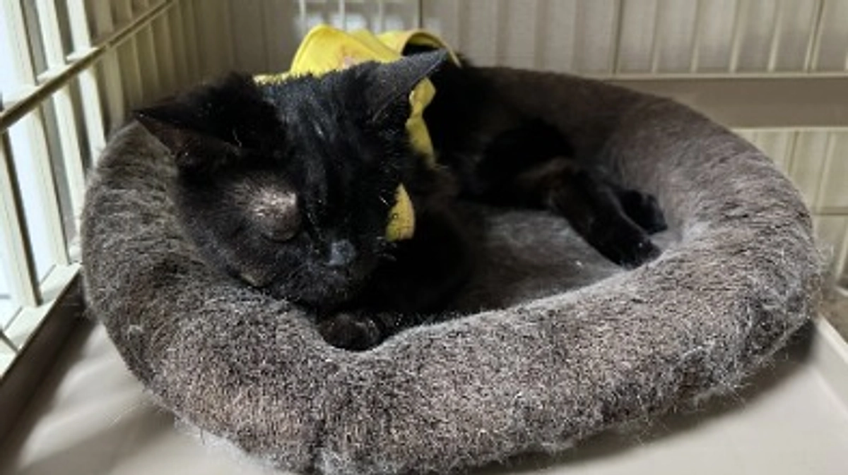 嘔吐を6回もしていました。