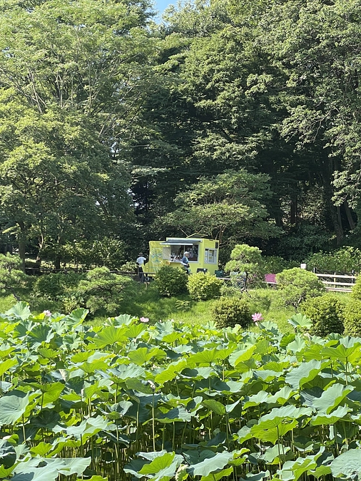 みなさまへのお知らせ