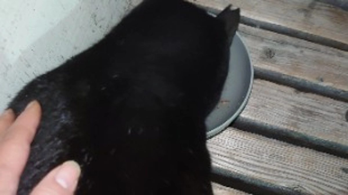 支援者の皆様へ