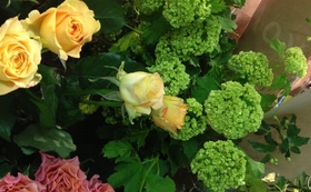 プロジェクト応援コース