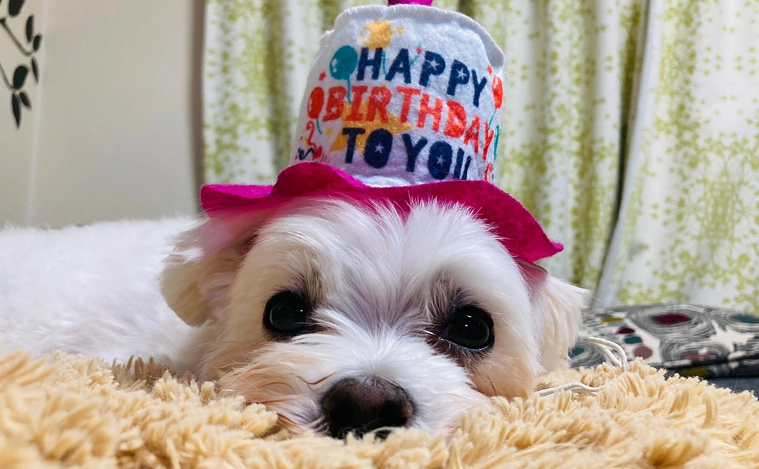 感謝のメール&活動報告 1000円