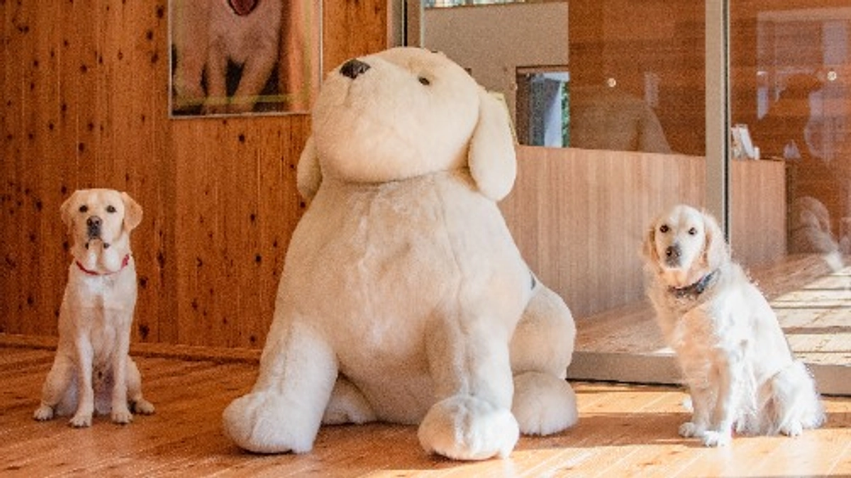 PR犬ってどんな犬たち？