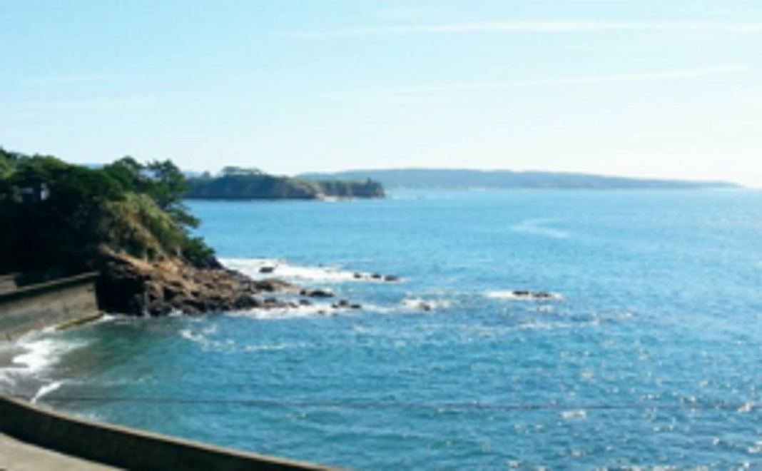 猫の島レストランチケット