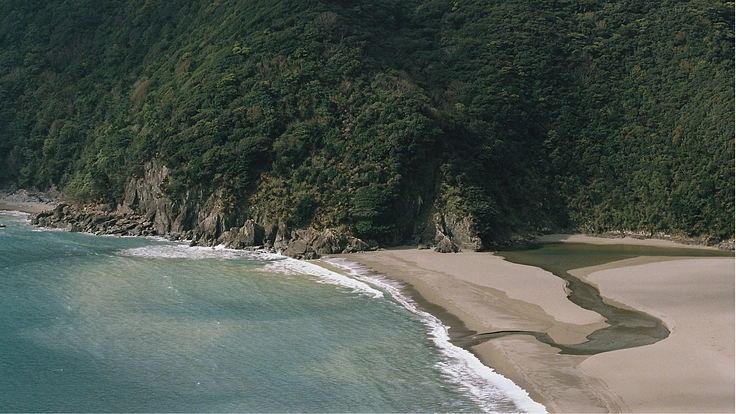 写真集を出版して、奄美の自然の美しさを伝えたい