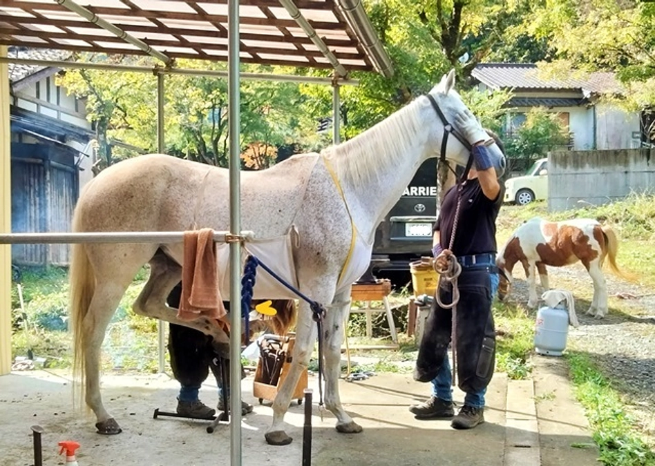 【終了まで残り９日！】第一目標達成の御礼とネクストゴールについて