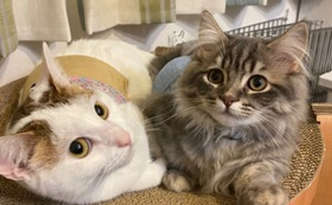 じゃこの未来をつなぐ応援コース2♡(直筆のお礼のお手紙)