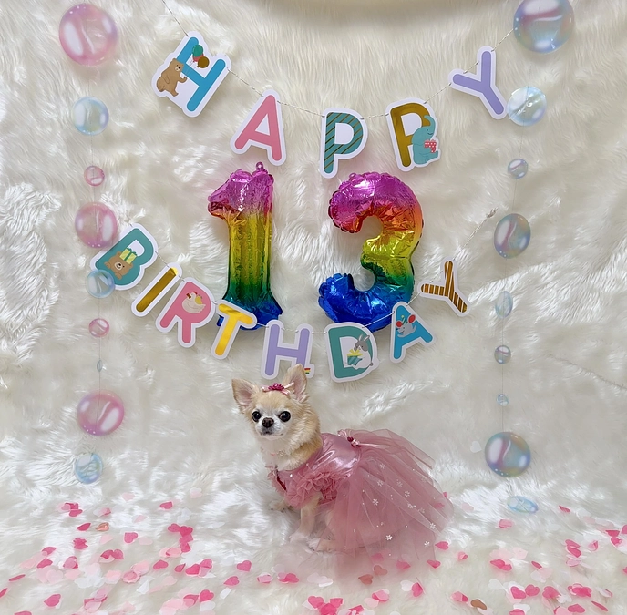 13際の、お誕生日を迎えることができました