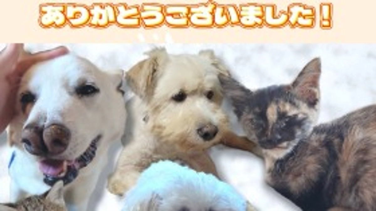 お礼とさらなる挑戦へ！