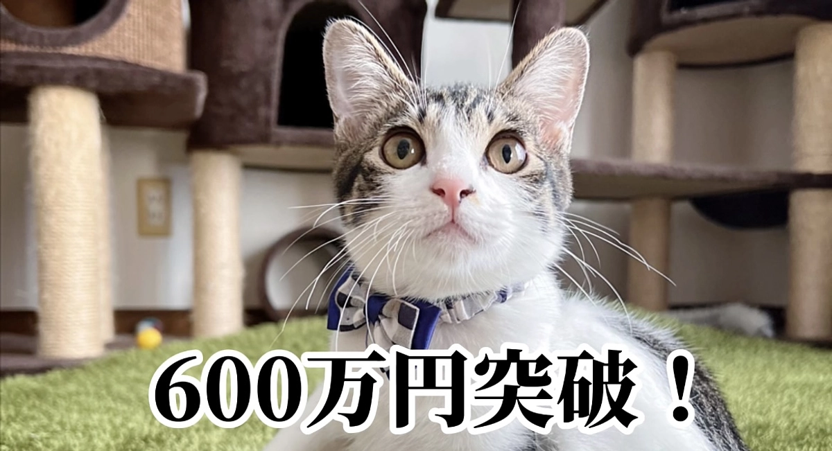 クラウドファンディング残り1ヶ月です！