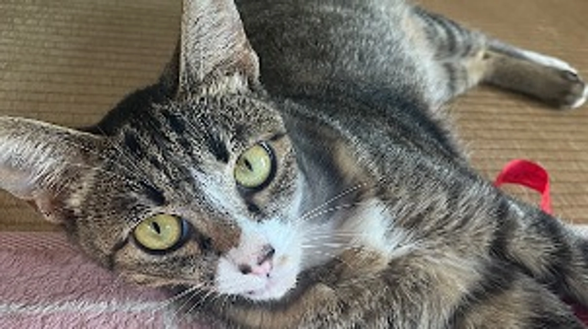 ちびちゃんの様子