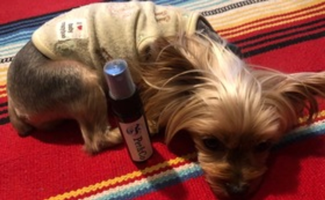 感謝のメッセージ+事業報告