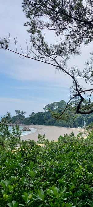 坂本龍馬は海を見て何を思っているのだろう･･･