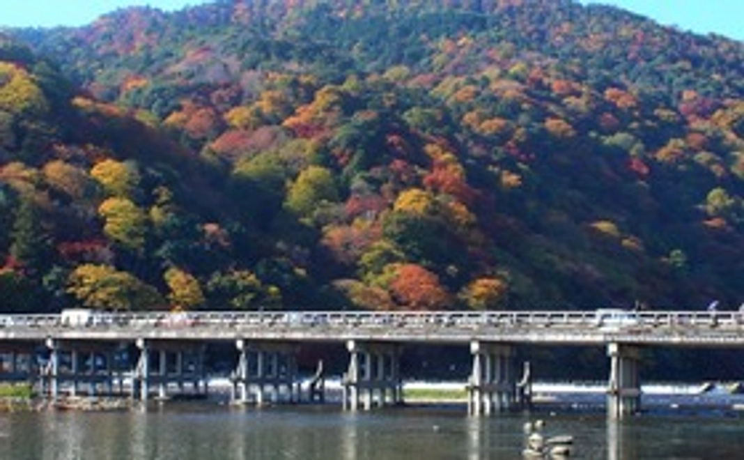 オリジナルポストカード＋お名前掲載