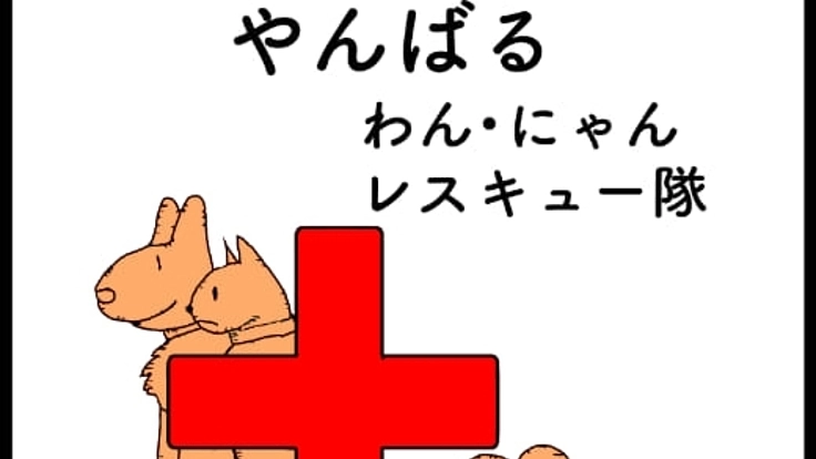 沖縄やんばるのわんにゃんレスキュー活動