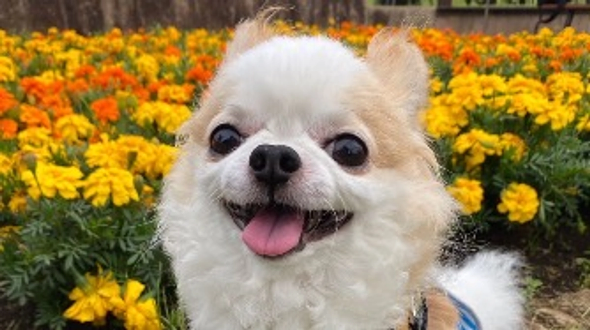 初めての月命日を迎えることができました