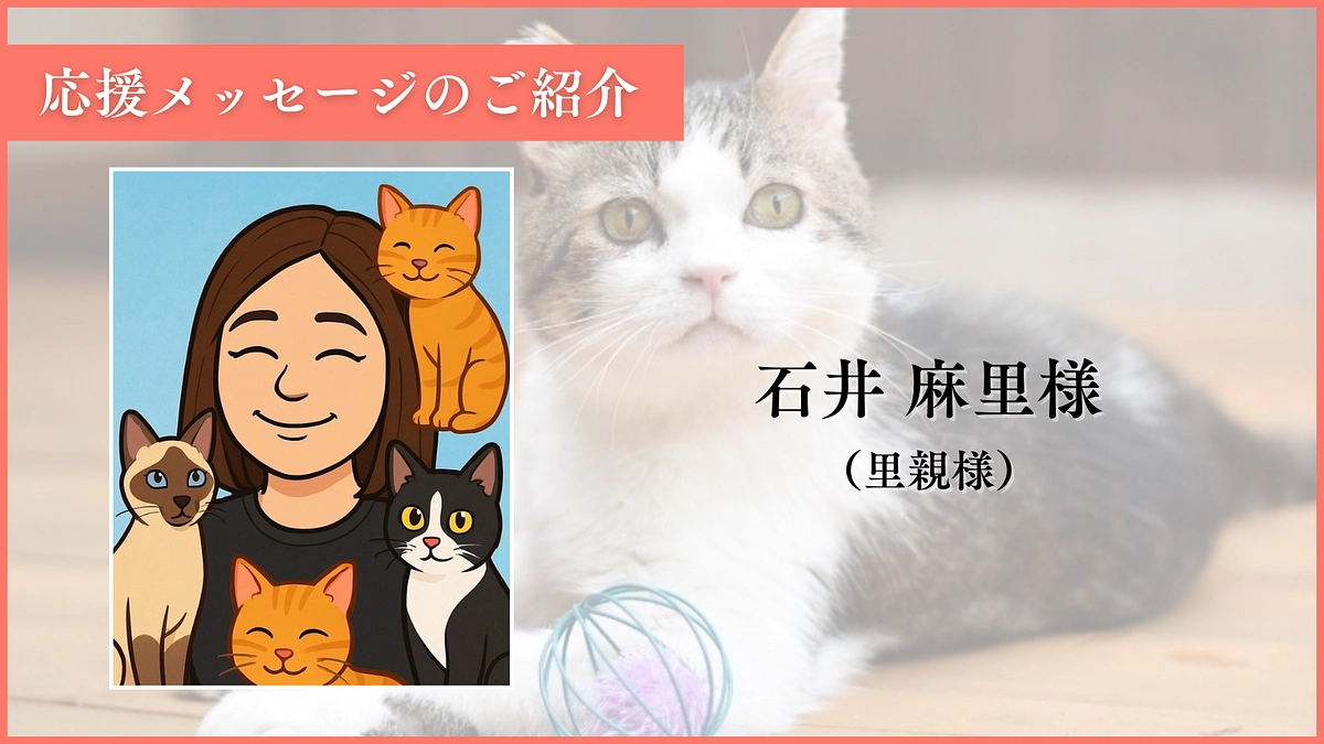 【終了まであと13時間！】応援メッセージのご紹介：石井麻里様 （里親様）