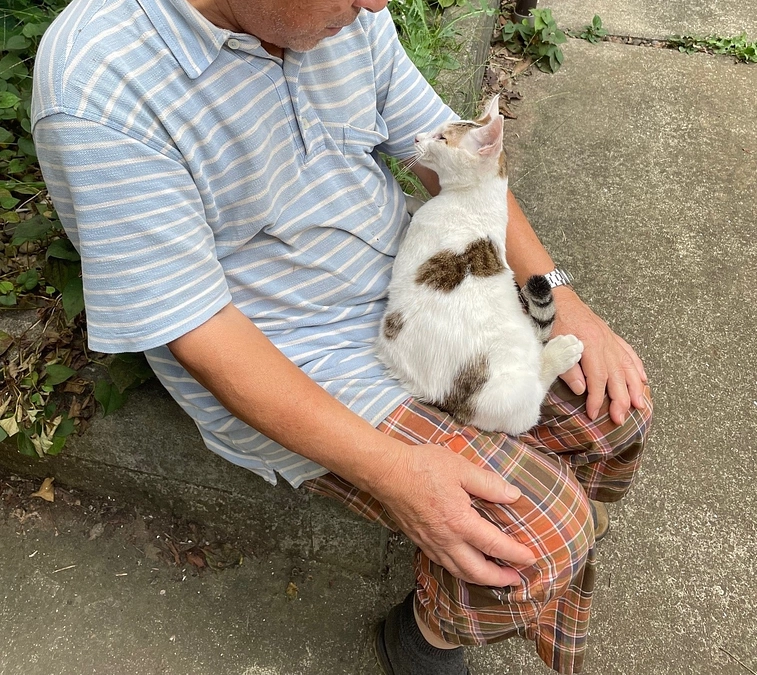 今日も保護受入れの相談がきました