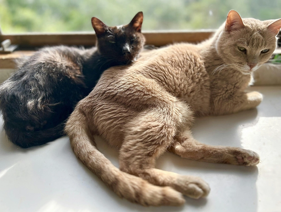 　終了まで残り7日！！最後まで応援よろしくお願いします。