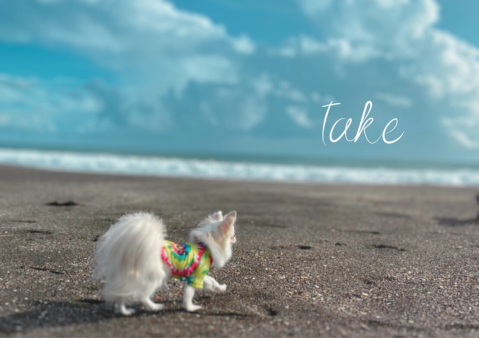 竹ちゃんのその後