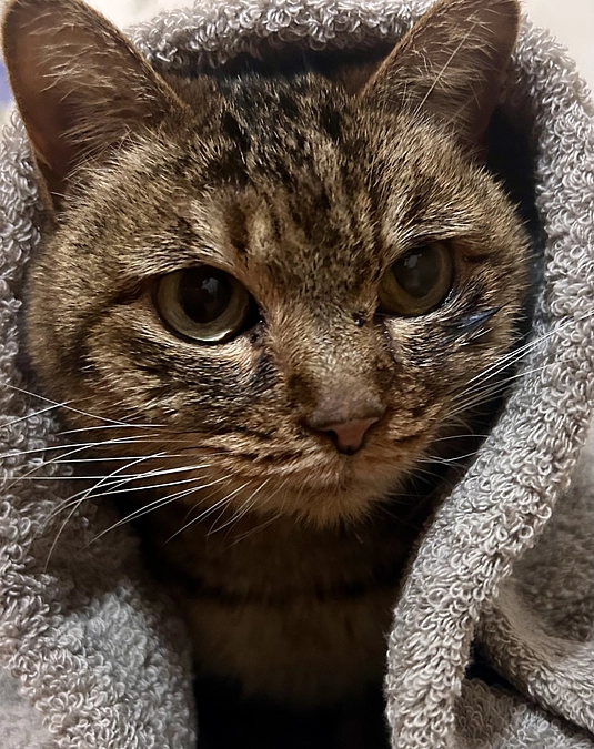 みっちゃんの近況