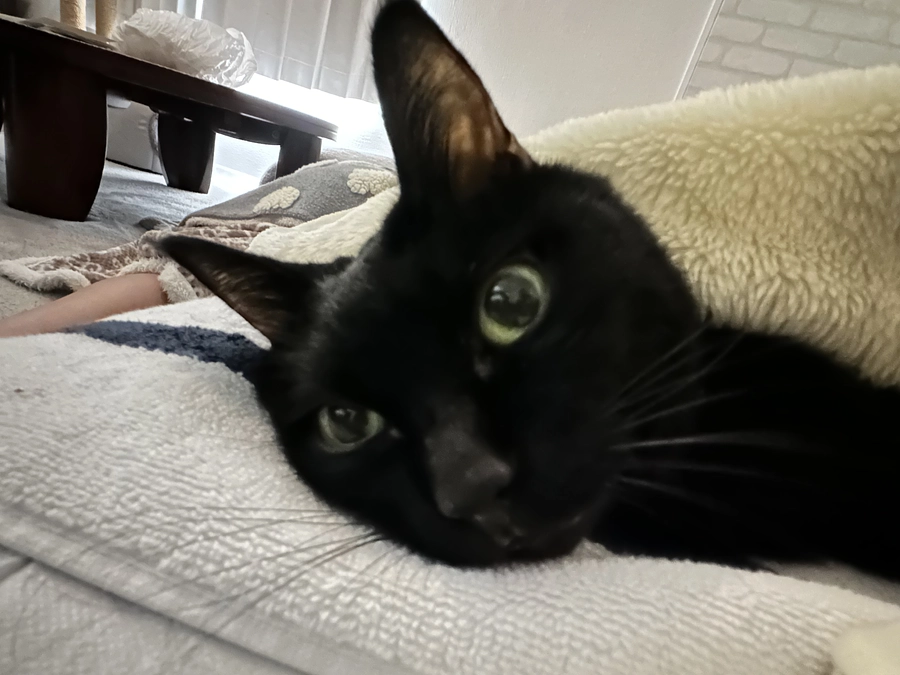 ちび、頑張っています！！