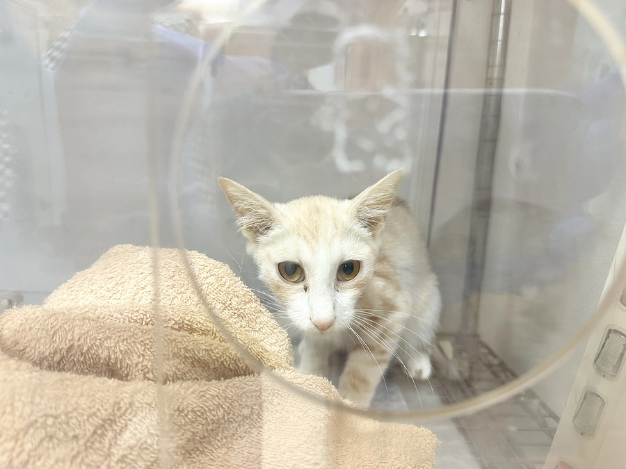 今日の丸ちゃん