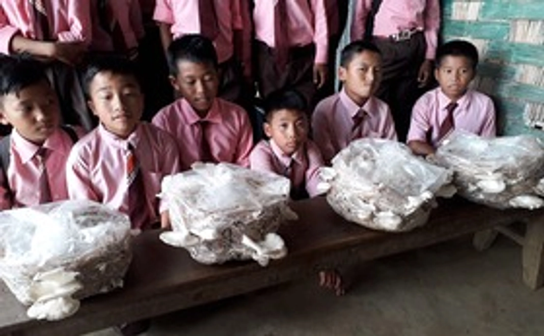 【応援コース】ご支援ありがとうございます!