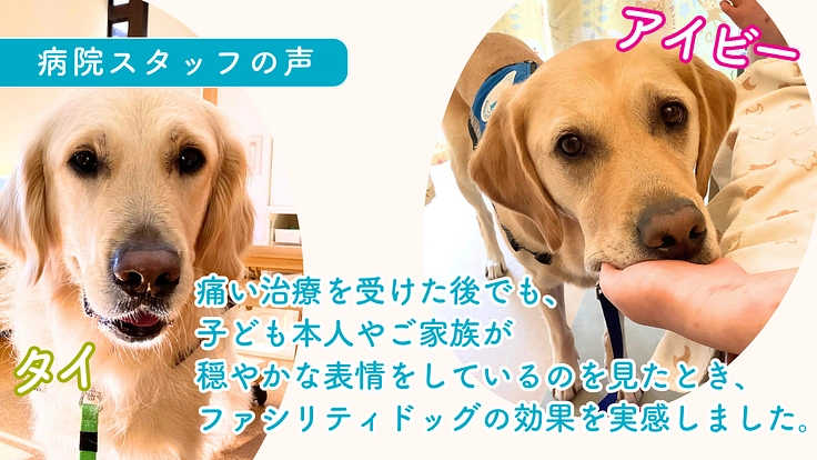 入院する子どもたちを笑顔に!ファシリティドッグ育成基金2023 6枚目