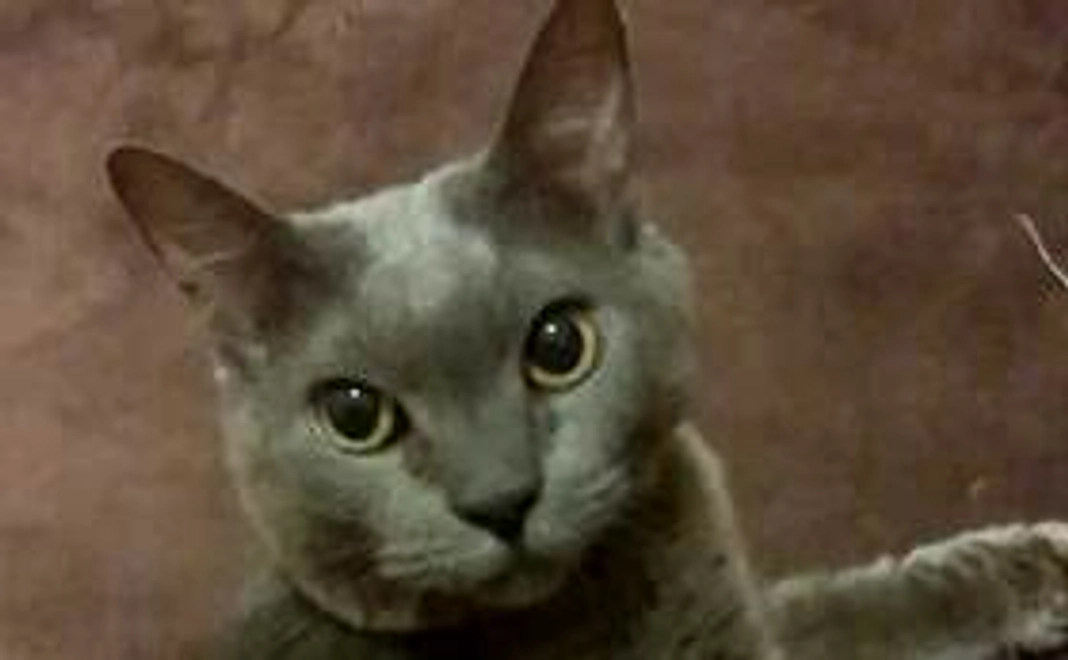 健康で長生きの一歩！！