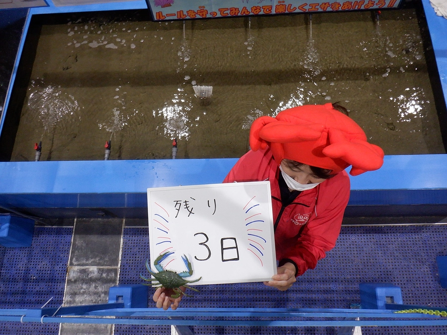 残り３日/カウントダウン