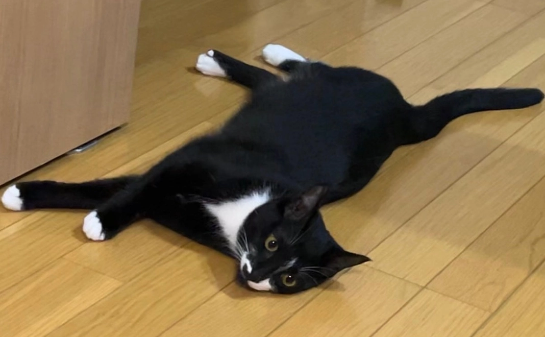 全力応援コース!300,000円