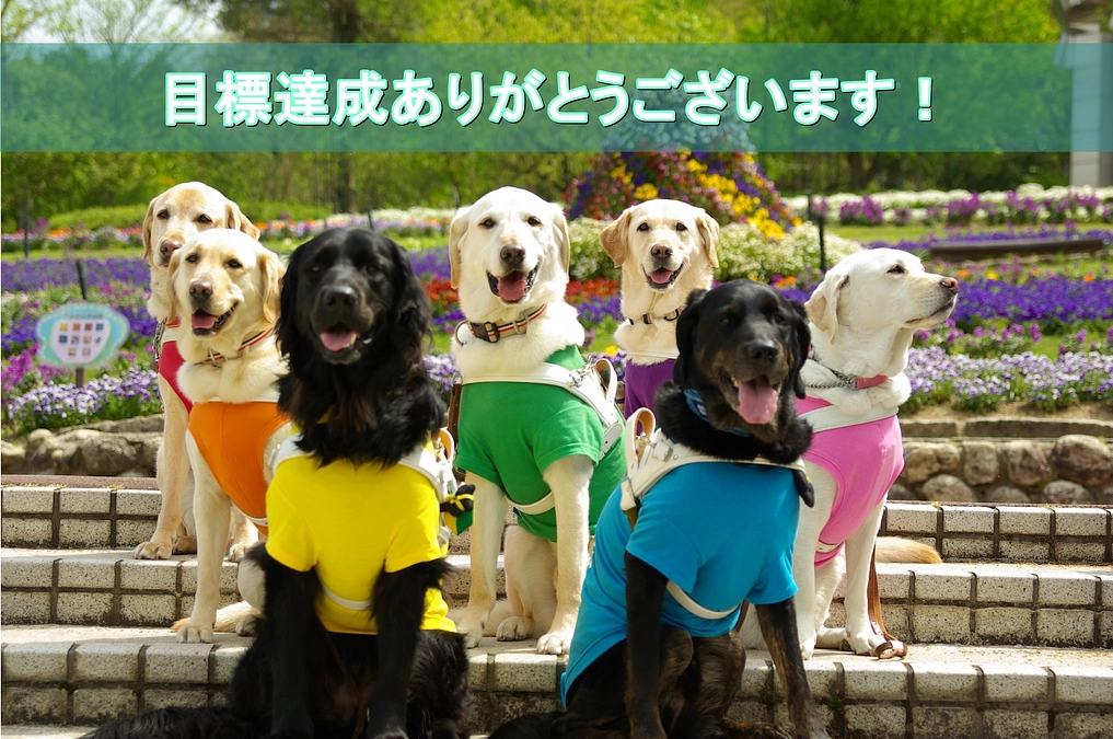 目標を達成することが出来ました！